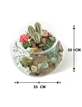 TERRARIUM ROUND GLASS - 35 X 35 CM