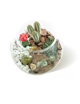 TERRARIUM ROUND GLASS - 35 X 35 CM