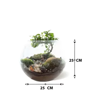 TERRARIUM ROUND GLASS - 25 X 25 CM