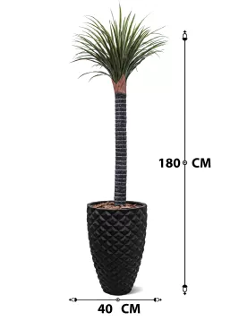 INDOOR PLANT DESIGN (ARTIFICIAL SILK TREE ) POT 40 CM HEIGHT 180 CM