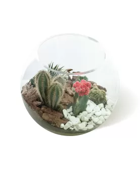 TERRARIUM ROUND GLASS - 35 X 35 CM