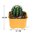 CACTUS - YELLOW POT 12CM HEIGHT 18CM