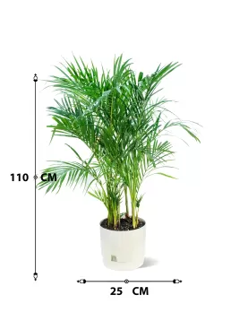 INDOOR BUNDLE OFFER