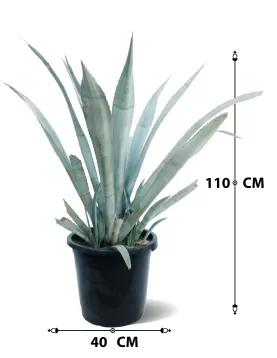 AGAVA &quot;AMERICANA&quot; POT 40 CM -HIGHT 110 CM