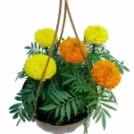 OUTDOOR PLANT DESIGN (MARY GOLD) HANGING BIEGE POT 15 CM