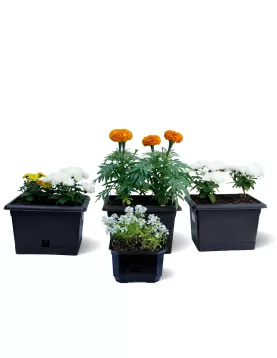 OUTDOOR BUNDDLE OFFER (BLACK POT)