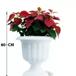 OUTDOOR PLANT DESIGN (EUPHORBIA POINSETTIA) WHITE POT