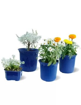 OUTDOOR BUNDDLE OFFER (BLUE POT)