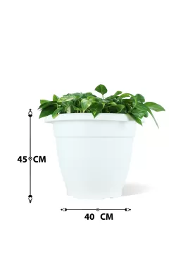 INDOOR PLANT DESIGN (SCINDAPSUS) POT 50CM