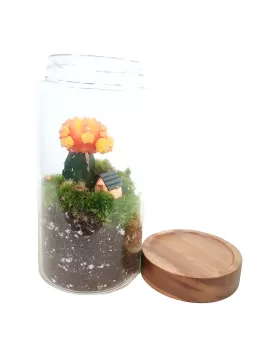 TERRARIUM  JAR