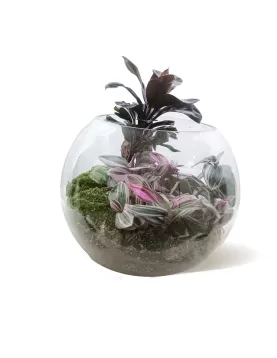 TERRARIUM ROUND GLASS - 30*30CM