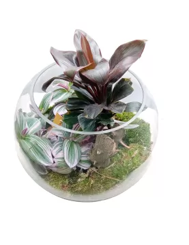 TERRARIUM ROUND GLASS - 30*30CM