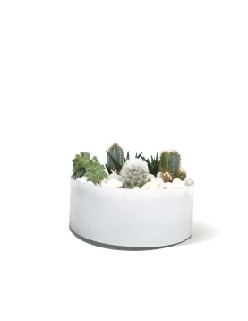 TERRARIUM WHITE GLASS -25*10 CM