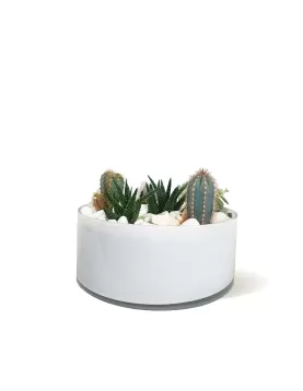 TERRARIUM WHITE GLASS -25*10 CM