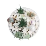 تيراريوم وعاء أبيض زجاجي 25*10 سم
