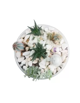 TERRARIUM WHITE GLASS -25*10 CM