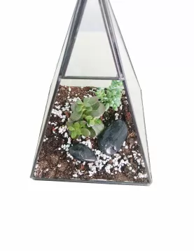 Terrarium Triangle Glass   WIDTH 16 CM - HIGHT 30 CM