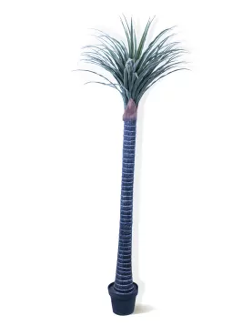 YUCA (Artificial) - HEIGHT 170CM