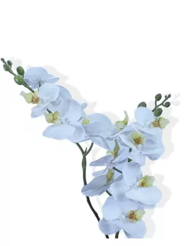 Orchid WHITE (Artificial) - HEIGHT 70CM