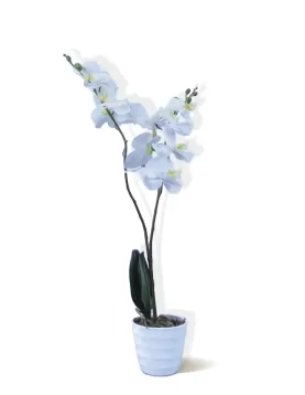 Orchid WHITE (Artificial) - HEIGHT 70CM