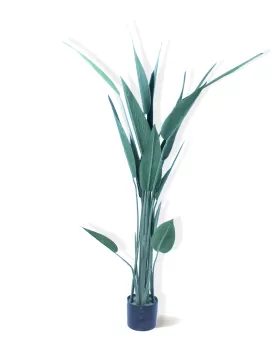 Strelitzia  (Artificial) - HEIGHT 130CM