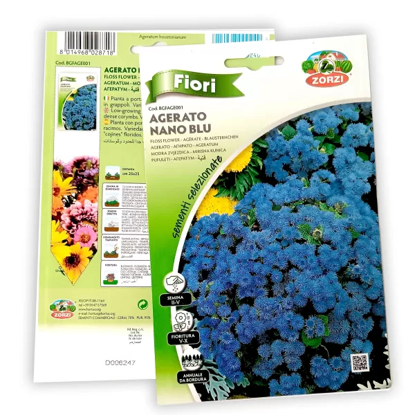 Ageratum