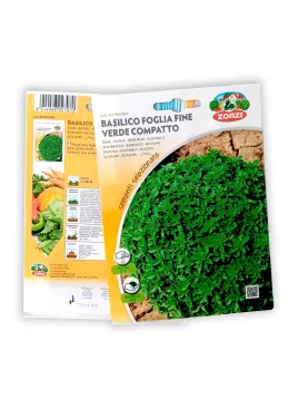 Basil
