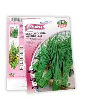 Onion grass