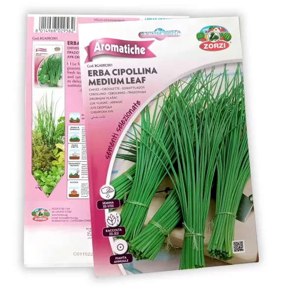 Onion grass