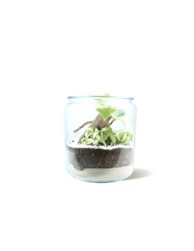 TERRARIUM JAR