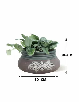 INDOOR PLANT DESIGN (SCINDAPSUS MARBLE )