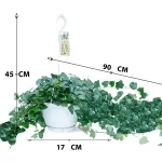 HEDERA HALIX HANGING POT 17 CM LENGTH  90 CM