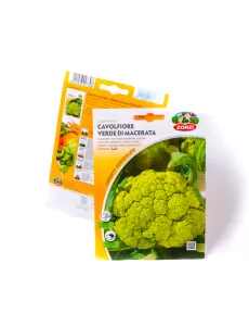 CAULIFLOWER GREEN