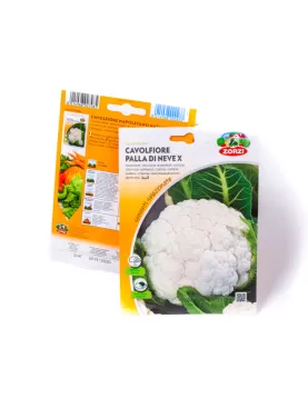 CAULIFLOWER