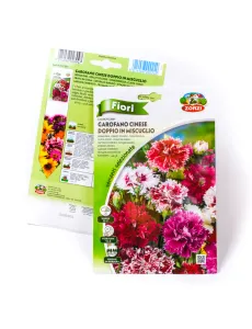 INDIAN PINK FLOWER