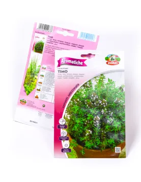 THYME