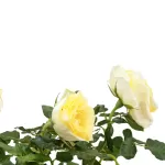 ROSE YELLOW -12 CM HEIGHT 40 CM