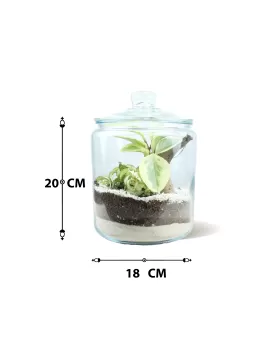 TERRARIUM JAR