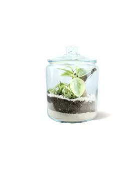 TERRARIUM JAR