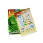 Lettuce Seeds - Image 2