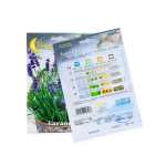 Lavender Seeds - Image 2